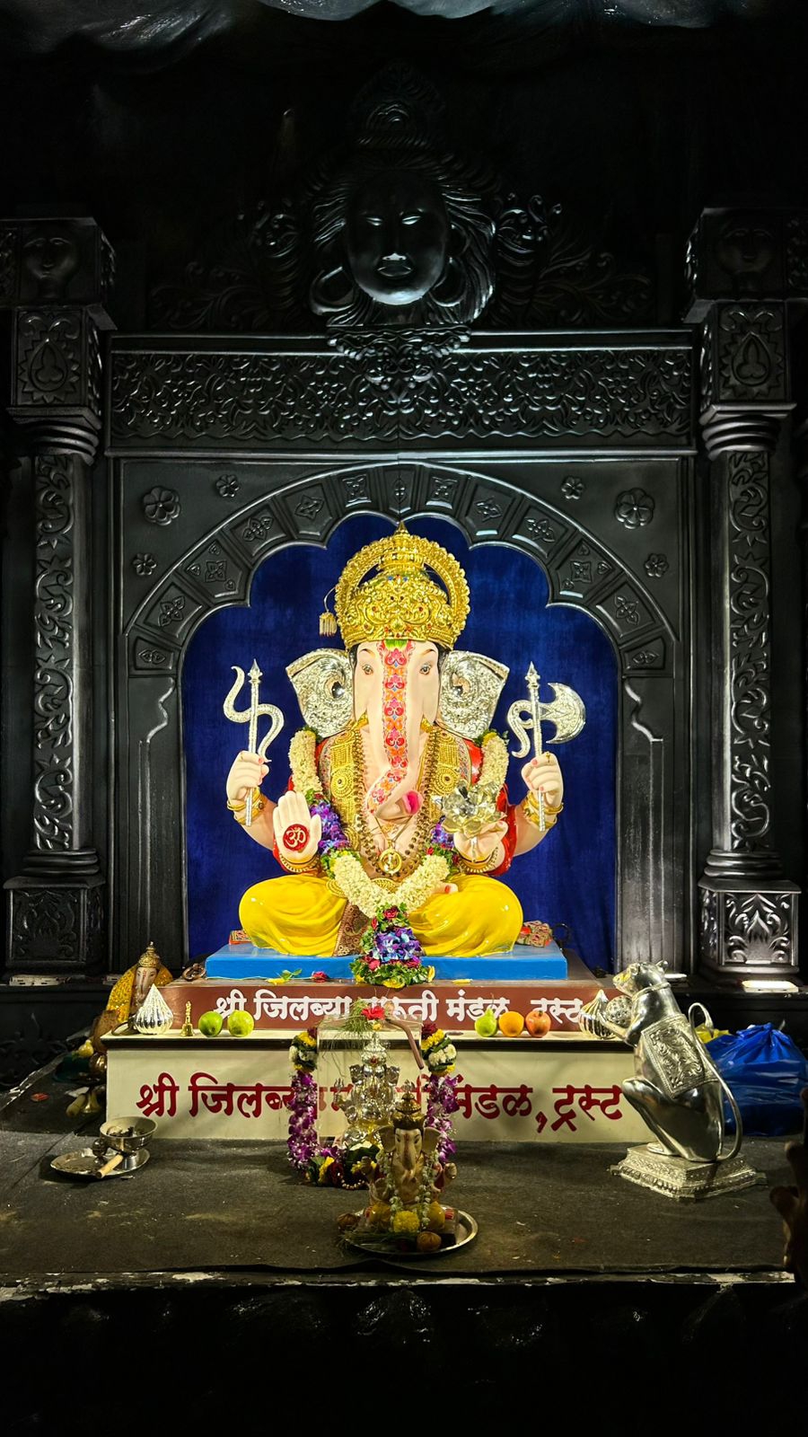 vaishali jadhav